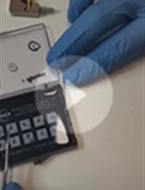 Characterization of Amyloid Fibril Networks by Atomic Force Microscopy