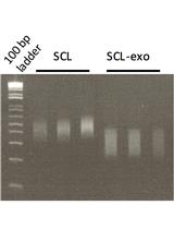 Coupling Exonuclease Digestion with Selective Chemical Labeling for Base-resolution Mapping of 5-Hydroxymethylcytosine in Genomic DNA