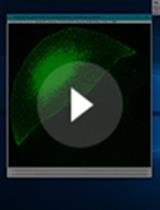 Terminal Deoxynucleotidyl Transferase Mediated Production of Labeled  Probes for Single-molecule FISH or RNA Capture