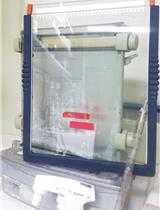 3'RACE联合引物延伸法检测大肠埃希氏菌RNA 3'末端