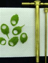 通过电解质渗漏测定法定量植物细胞死亡