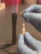 二甲基辛二硝酸盐交联后酵母核小体的生化分析