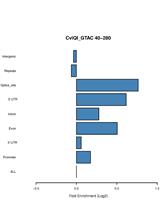 Reduced Representation Bisulfite Sequencing in Maize
