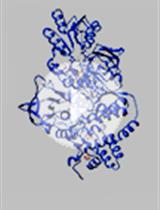 Hydrogen Deuterium Exchange Mass Spectrometry of Oxygen Sensitive Proteins