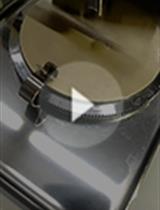 Organotypic Explants of the Embryonic Rodent Hippocampus:  An Accessible System for Transgenesis