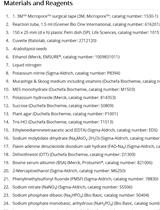 In vitro Nitrate Reductase Activity Assay from Arabidopsis Crude Extracts