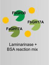 Laminarin Quantification in Microalgae with Enzymes from Marine Microbes