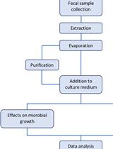 Extraction of Small Molecules from Fecal Samples and Testing of Their Activity on Microbial Physiology
