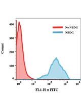 FACS-based Glucose Uptake Assay of Mouse Embryonic Fibroblasts and Breast Cancer Cells Using 2-NBDG Probe