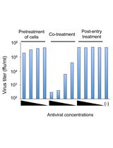 Time-of-addition and Temperature-shift Assays to Determine Particular Step(s) in the  Viral Life Cycle that is Blocked by Antiviral Substance(s)