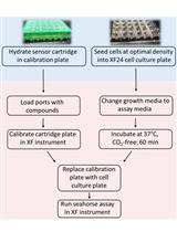 Measurement of Oxygen Consumption Rate (OCR) and Extracellular Acidification Rate (ECAR) in Culture Cells for Assessment of the Energy Metabolism
