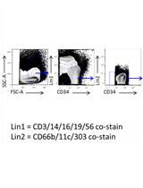 High Dimensional Functionomic Analysis of Human Hematopoietic Stem  and Progenitor Cells at a Single Cell Level