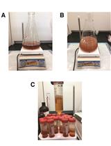 Preparation of Lipid-Stripped Serum for the Study of Lipid Metabolism in Cell Culture