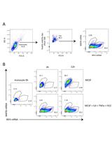 Visualization of RNA at the Single Cell Level by Fluorescent <em>in situ</em>  Hybridization Coupled to Flow Cytometry