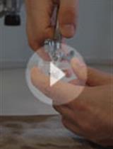 用于单分子FRET研究的选择性双标记无细胞合成蛋白质的制备