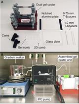 Separation of Thylakoid Protein Complexes with Two-dimensional Native-PAGE