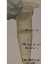 Bacterial Microcolonies in Gel Beads for High-throughput Screening
