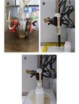 使用管饲法重组富含甘油三酯的脂蛋白颗粒（rTRL）来评估小鼠中放射性标记的胆固醇的摄取和生物分布