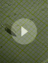 Muscle Function Assessment Using a Drosophila Larvae Crawling Assay