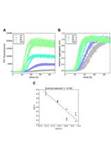 α-Synuclein Aggregation Monitored by Thioflavin T Fluorescence Assay