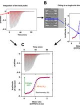 等温滴定量热法：一种检测溶液中非标记生物分子相互作用的生物物理方法