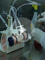 Long-term in vitro Culture of Cryptosporidium parvum