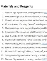 从小鼠胚胎中分离LYVE-1+内皮细胞的方法