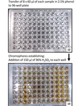 Determination of Storage (Starch/Glycogen) and Total Saccharides Content in Algae and Cyanobacteria by a Phenol-Sulfuric Acid Method