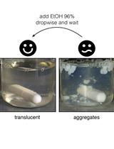 Modifying Styrene-maleic Acid Co-polymer for Studying Lipid Nanodiscs by Direct Fluorescent Labeling
