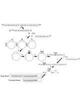 Random Insertional Mutagenesis of a Serotype 2 Dengue Virus Clone