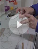 利用31P-NMR技术体内外研究柱孢白桦在响应植物根组织信号后的磷酸盐转运和多聚磷酸盐代谢
