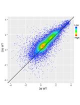 Quantitative ChIP-seq by Adding Spike-in from Another Species