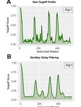Detection of Internal Matrix Targeting Signal-like Sequences (iMTS-Ls) in Mitochondrial Precursor Proteins Using the TargetP Prediction Tool