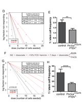 Investigating Neural Stem Cell and Glioma Stem Cell Self-renewal Potential Using Extreme Limiting Dilution Analysis (ELDA)