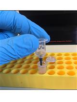Selective Isolation of Retroviruses from Extracellular Vesicles by Intact Virion Immunoprecipitation