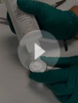 Enzymatic Assays and Enzyme Histochemistry of Tuta absoluta Feeding on Tomato Leaves
