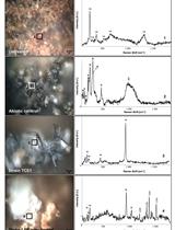 Soluble and Solid Iron Reduction Assays with Desulfitobacterium hafniense