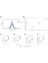 Stable-isotope Labeled Metabolic Analysis in Drosophila melanogaster: From Experimental Setup to Data Analysis