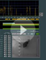 Assessing Classical Olfactory Fear Conditioning by Behavioral Freezing in Mice