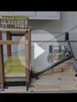 <em>Drosophila</em> Endurance Training and Assessment of Its Effects on Systemic Adaptations