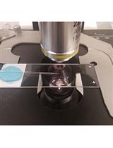 Measurement of Dopamine Using Fast Scan Cyclic Voltammetry in Rodent Brain Slices