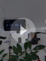 Pneumatic Method to Measure Plant Xylem Embolism