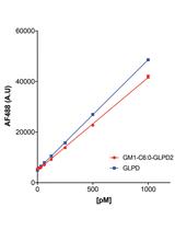 Transcytosis Assay for Transport of Glycosphingolipids across MDCK-II Cells