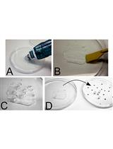 通过CRISPR-Trap完全移除内源全长转录本进行基因敲除和基因置换 