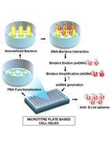 Microtitre Plate Based Cell-SELEX Method