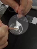 Optical Clearing and Index Matching of Tissue Samples for High-resolution Fluorescence Imaging Using SeeDB2