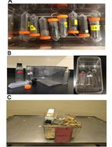 Behavioral Evaluation of Seeking and Preference of Alcohol in Mice Subjected to Stress