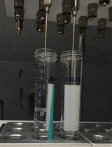 Eicosanoid Isolation from Mouse Intestinal Tissue for ELISA