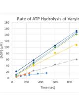 Kinetic Characterization of the Shigella Type Three Secretion System ATPase Spa47 Using α-32P ATP