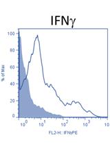 <em>In-vivo</em> gp100-specific Cytotoxic CD8<sup>+</sup> T Cell Killing Assay